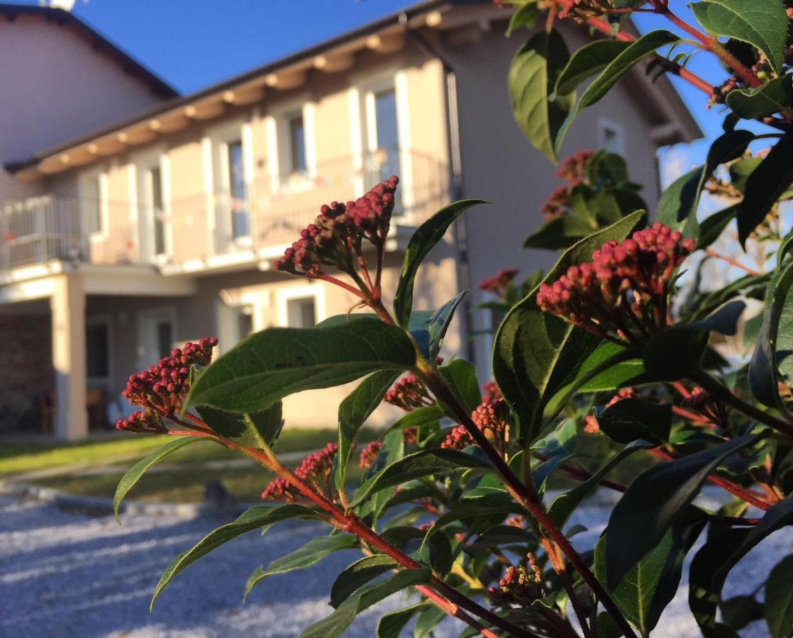 Happy Hill - Appartamento Quercia - Natura E Relax Santa Maria Rocca Exterior foto